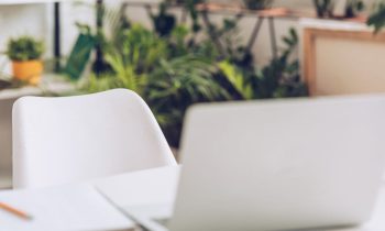 Home office desk with a laptop and house plants in the background.